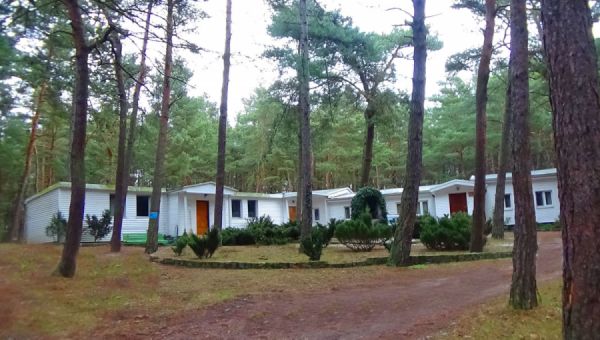 Sprzątanie i porządkowanie naszego Domu w Orlinkach