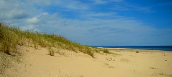 Sierpniowy wypoczynek w Orlinkach